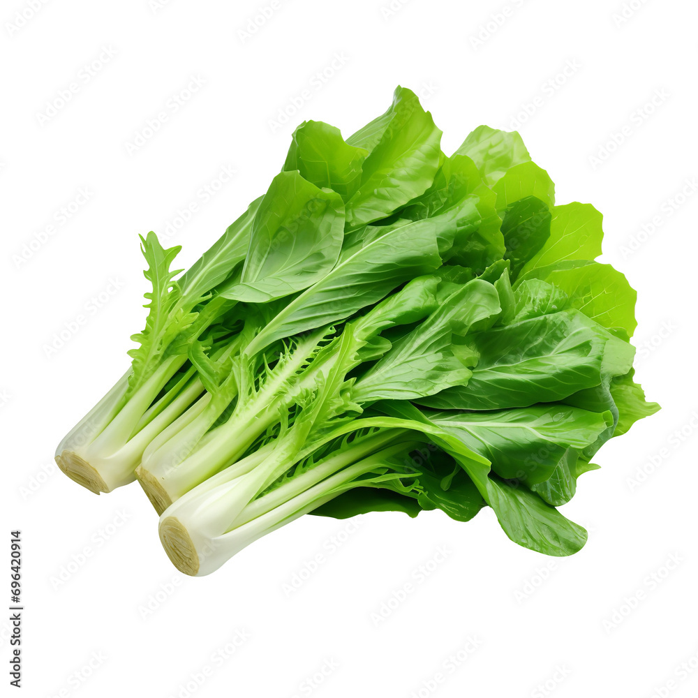 Natural and fresh lettuce isolated on transparent background
Natural and fresh lettuce isolated on transparent background