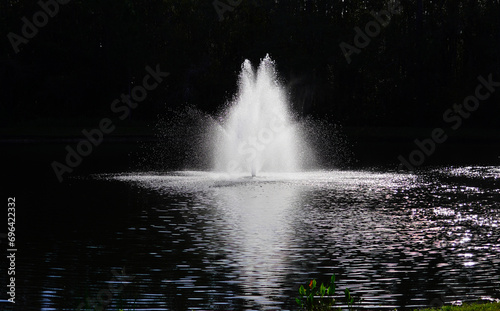  A Florida community pond and fountain