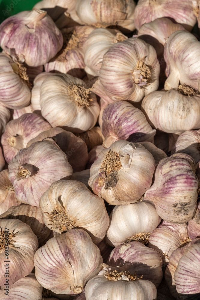Garlic bulbs on black background, close-up. Organic garlic top view. Food background. Selective focus. Garlic bulbs on black background, close-up. Organic garlic top view. Food background. Selective focus.