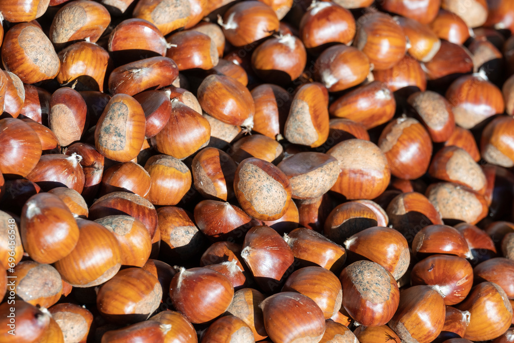 chestnuts from local organic crops for sale at a street market. Healthy and organic food. chestnuts from local organic crops for sale at a street market. Healthy and organic food.
