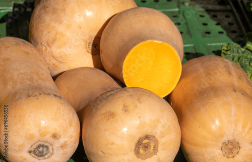 Butternut pumpking (squash) in a market stall. When ripe, butternuts get an orange color and become sweeter