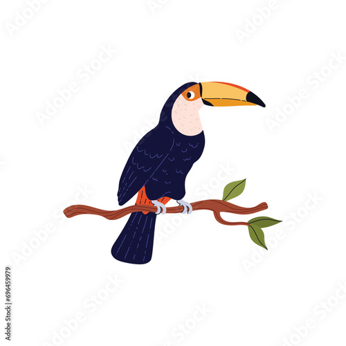 Tropical black toucan bird on the branch, cartoon exotic wild bird with orange beak, jungle fauna animal vector isolated