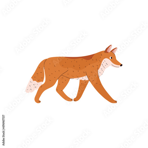 Fox tundra animal.