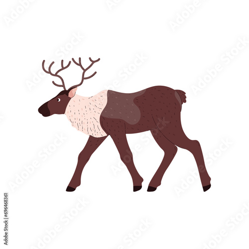 Reindeer with antlers, wild animal of the tundra and taiga, cartoon vector isolated northern brown large ungulate mammal