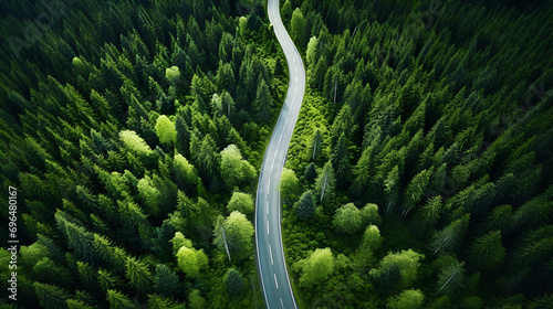 top down drone shot of a S curved road throug a beautiful green forest