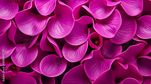 Abstract Magenta Orchid Texture, Flowers Pattern with Focus on Vibrant Petal Details. Orchid Pattern Background