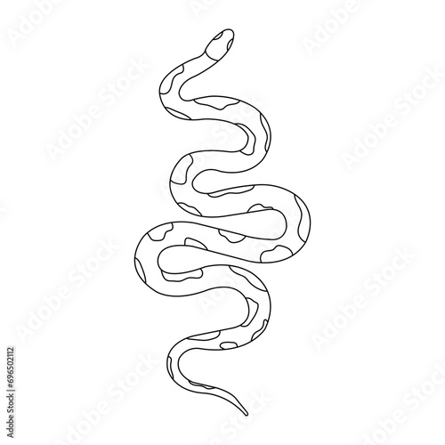Snake. Isolated snake on white background.