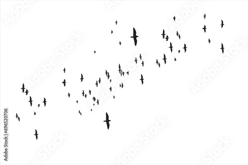 Birds flying in a natural distribution in the sky.