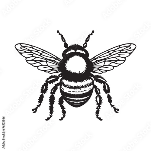 bee vector © HPK DESIGN STUDIO