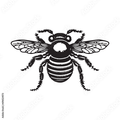 bee vector