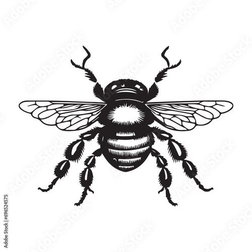bee vector