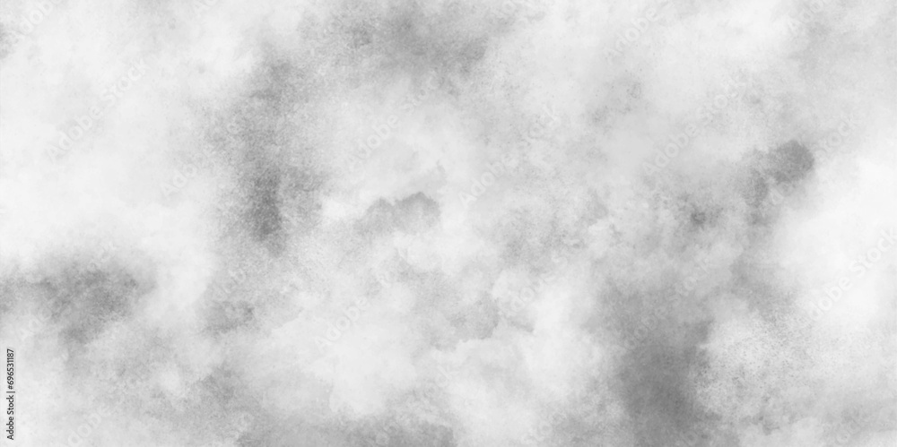 Abstract white and gray aquarelle painted paper texture, polished and smooth brush stroke grunge texture, cloudy snow texture background, white watercolor painting illustration. white marble texture. - obrazy, fototapety, plakaty 