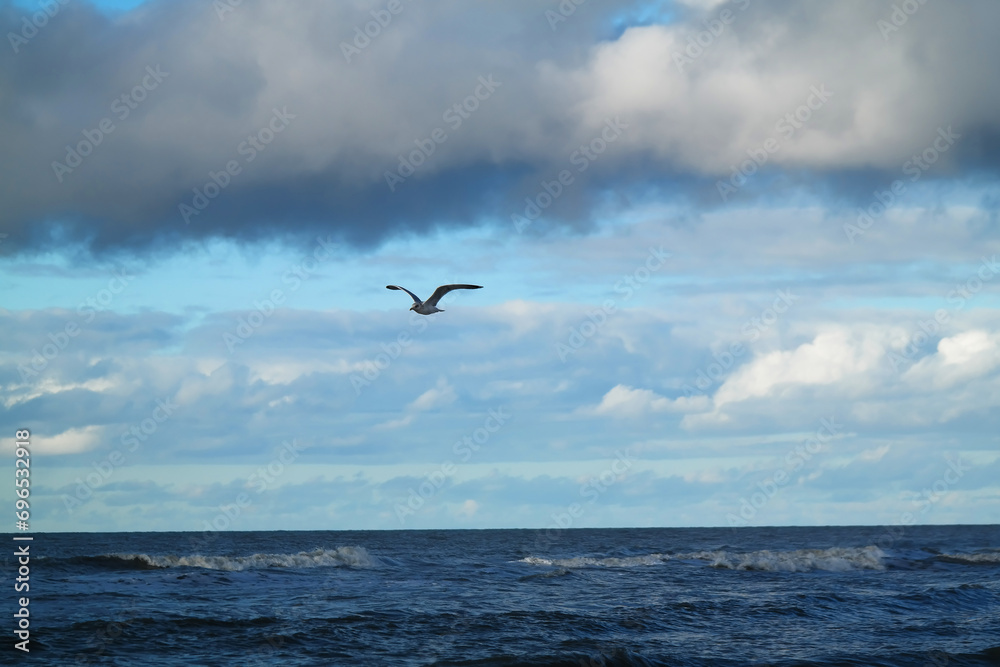 Mewa lecąca nad morzem.