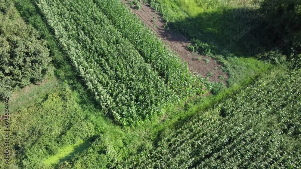 Agricultural field aerial view. Tractor in crop field. Cultivating organic products with sustainable agriculture. Drone view. Global food crisis or sustainable agriculture concept. Agricultural field aerial view. Tractor in crop field. Cultivating organic products with sustainable agriculture. Drone view. Global food crisis or sustainable agriculture concept.