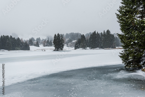 Lenzerheide, Valbella, Heidsee, Bergsee, Uferweg, Wanderweg, Winterwanderung, Langlauf, Loipe, Winterlandschaft, Seeufer, Alpen, Wald, Tannen, Eis, Schnee, Schneefall, Winter, Graubünden, Schweiz photo