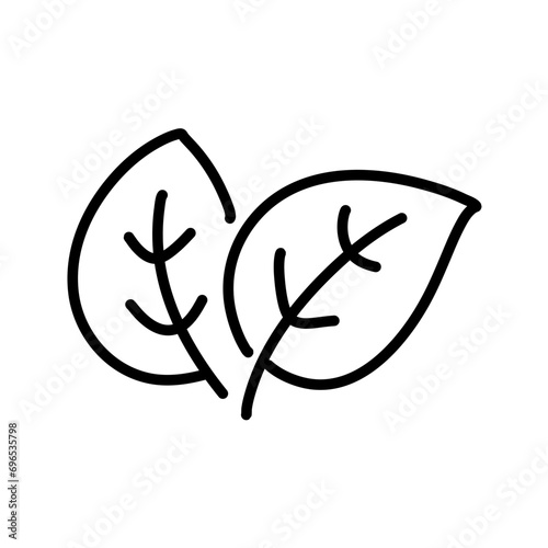 Hand drawn leaf icon