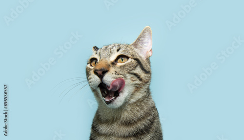Quadro su tela Portrait hungry little cat licking its lips with tongue