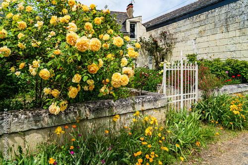F, Loire, Port Charbonnier, Haus mit überbordenden, üppig blühenden Rosenbüschen photo