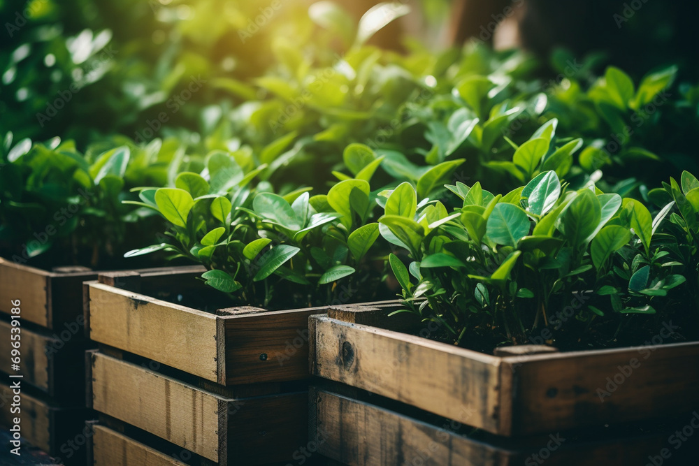 box with green plants. generative ai box with green plants. generative ai