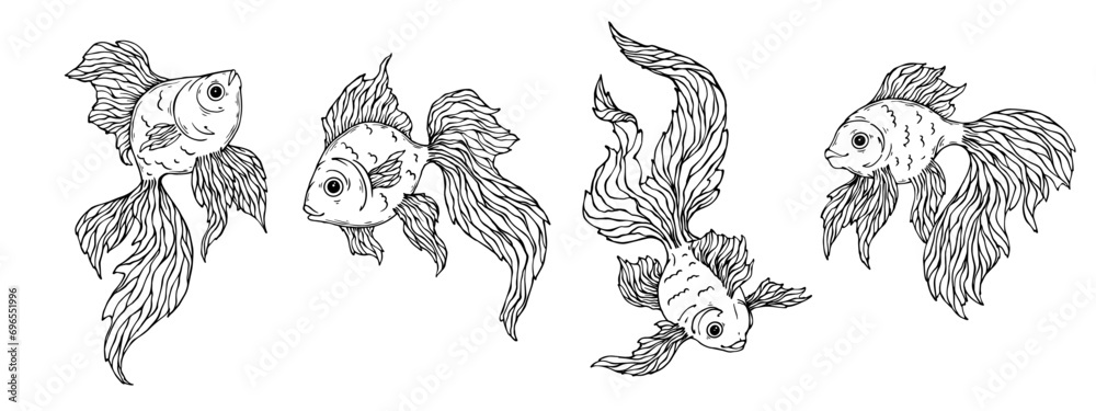 Set of sketches,doodles of goldfish.Vector graphics.