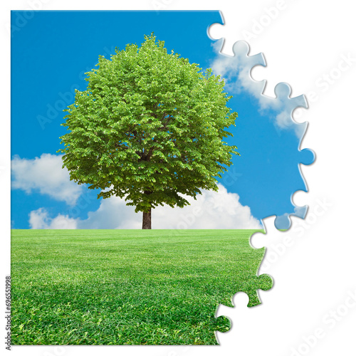 Lone tree in a agricultural field - environmental conservation concept in jigsaw puzzle shape photo