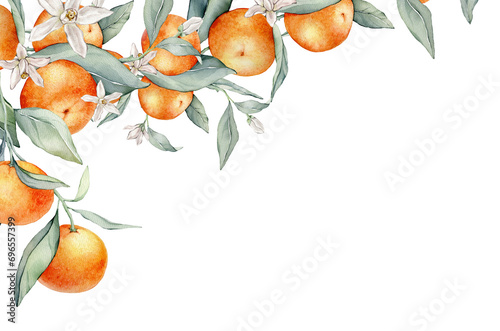 Watercolor frame illustration orange tangarine and green leaves isolated on white background. border hand painted natural plant twigs with fresh citrus fruits for design. Banner with mandarin branches photo