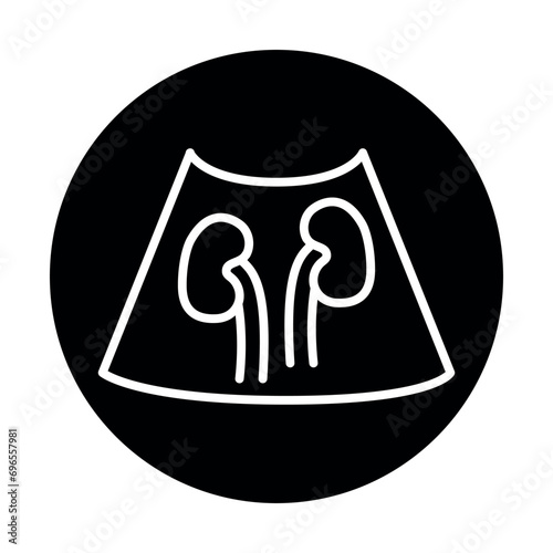 Ultrasound kidneys black line illustration