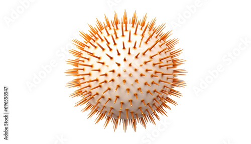 3D Sea urchin PNG   Transparent