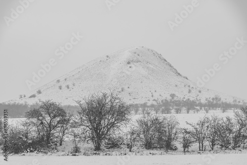 Rana hill in white storm snowy morning near Louny town and meadows photo