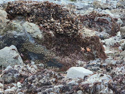 Bedrock Water Geological phenomenon Geology Soil Outcrop