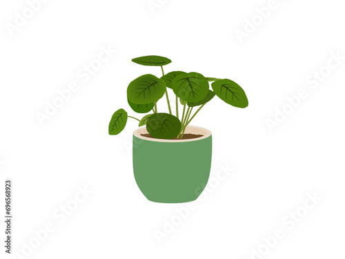 plants  vector icon . Increase cultivated areas. Farmlands abstract idea thin line illustration. Vector illustration Planting  acres green gradient concept icon. Arable lands growth. Pro vector