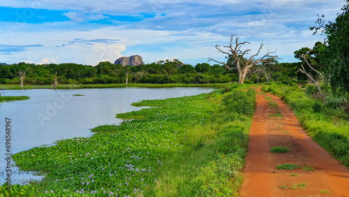 Yala Nationalpark, Sri Lanka: Malerische Landschaft vor dem Elephant Rock
