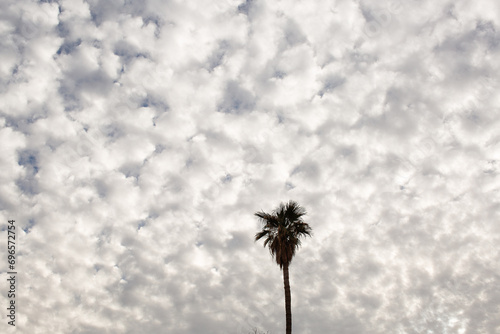 Low level Stratocumulus clouds over Phoenix