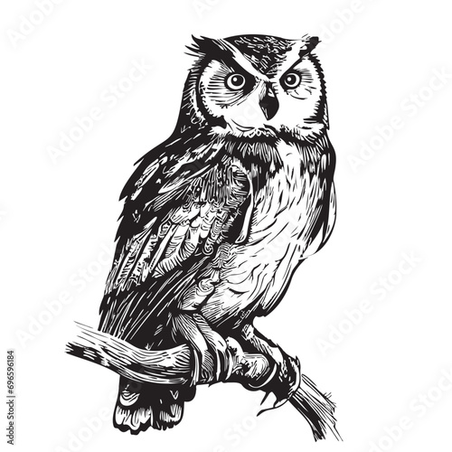 Owl bird sketch hand drawn in doodle style illustration