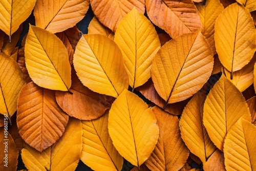 Generative AI image of autumn tree leaves autumnal background