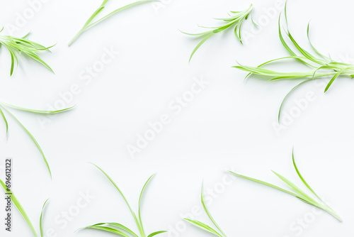 Herbal floral pattern with green leaves. Herbal cosmetic or medicine background