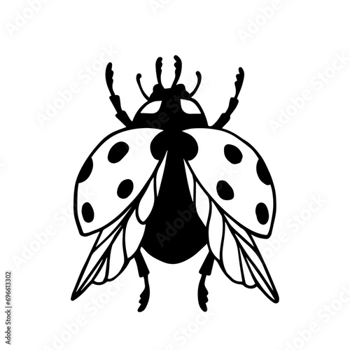 DooDoodle of winged insect ladybug.Vector graphics.dle of winged insect ladybug.Vector graphics.