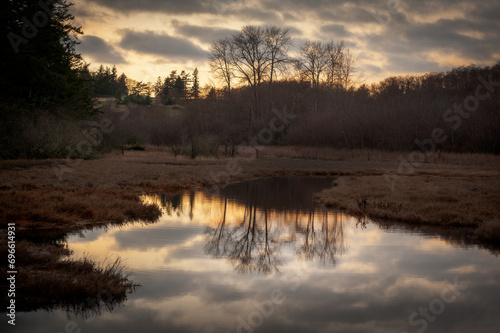 Sunset over a wetland on an island in the Pacific Northwest. Trees reflected on a calm water slough on Lummi Island in the Salish Sea area of western Washington state.