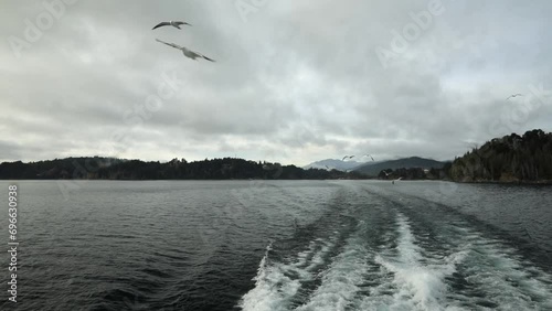 Traveling in Patagonia. View of the water trail left by the ship navigating Nahuel Huapi lake at sunrise. The mountains and forest in the horizon. A flock of seagulls follow the boat.	
 photo