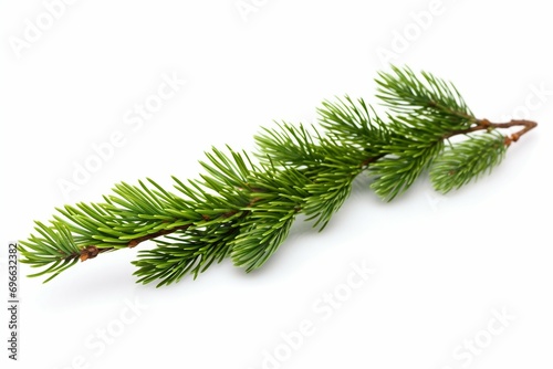Fresh Fir Branches with Snow Isolated on White Background. Generative ai