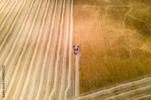 A drone image of a farm tractor collecting hay in Tuscany, Italy