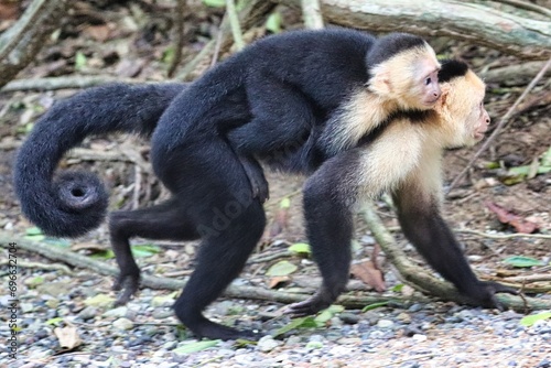 Roatan, Honduras