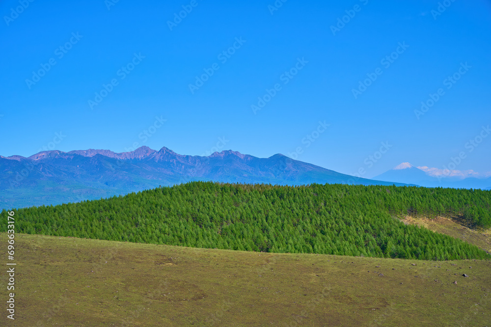 春の霧ヶ峰高原(富士見台)から南東側の眺望(カラマツ林,八ヶ岳連峰,富士山など)