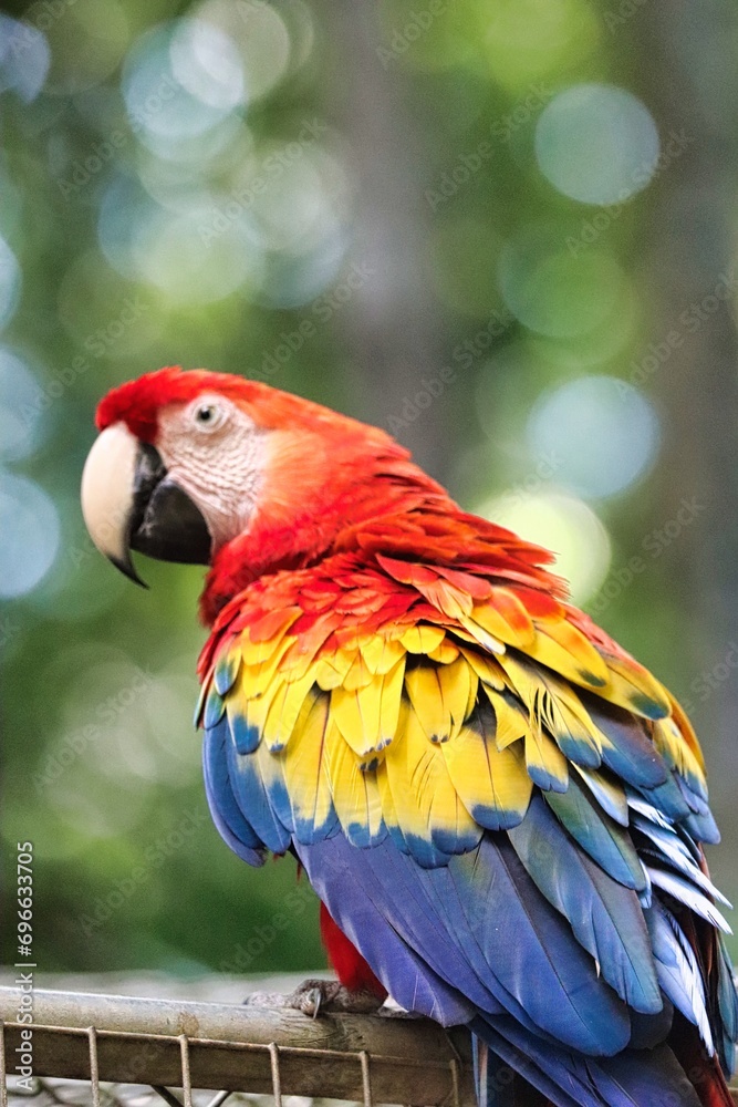 Fototapeta premium Roatan, Honduras