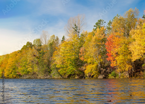 autumn landscape with lake