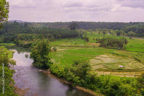 Beautiful morning view indonesia. Panorama Landscape paddy fields with beauty color and sky natural light