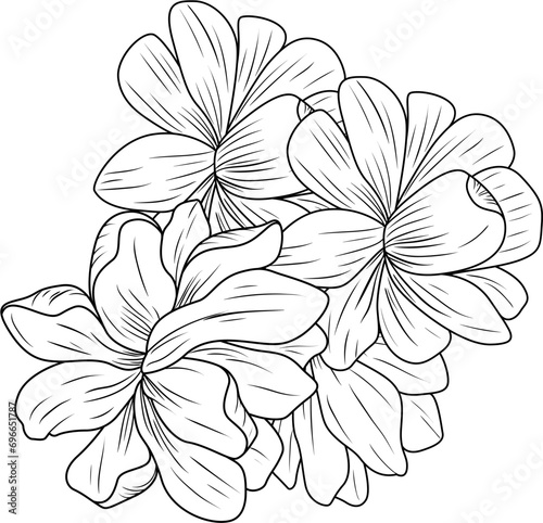 flower set with coloring petals illustration