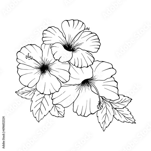 flower set with coloring petals set