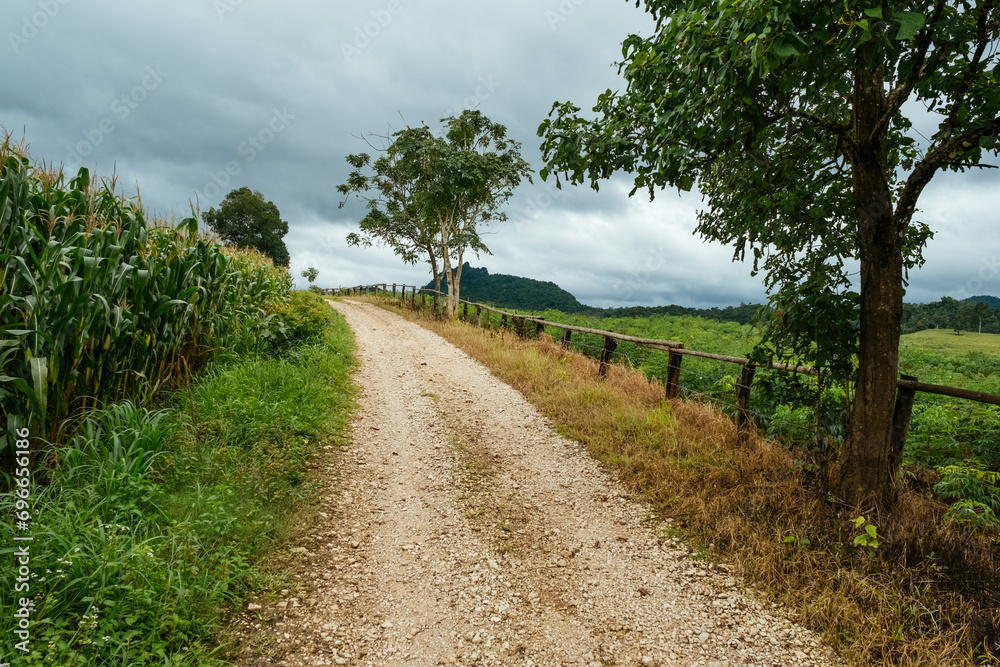 Dirt road on rural properties alongside and plantation