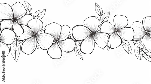 Plumeria flowers in continuous line art drawing style decoration photo